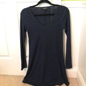 Express knit dress